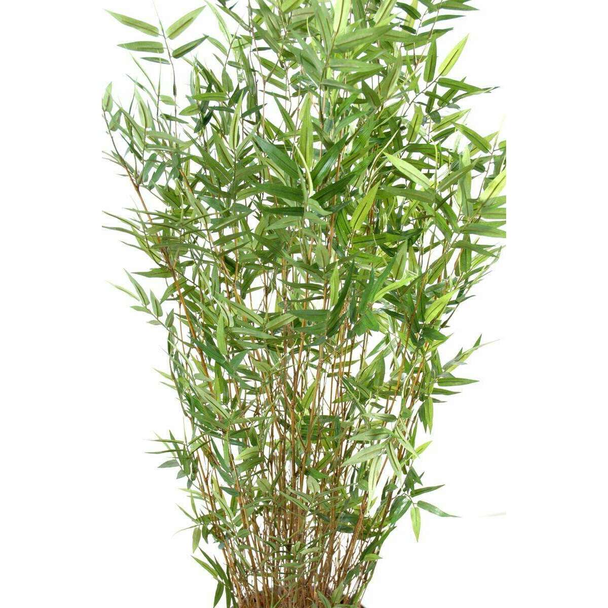 Bambou artificiel Oriental 11 cannes fines - plante d'intérieur - H.190cm