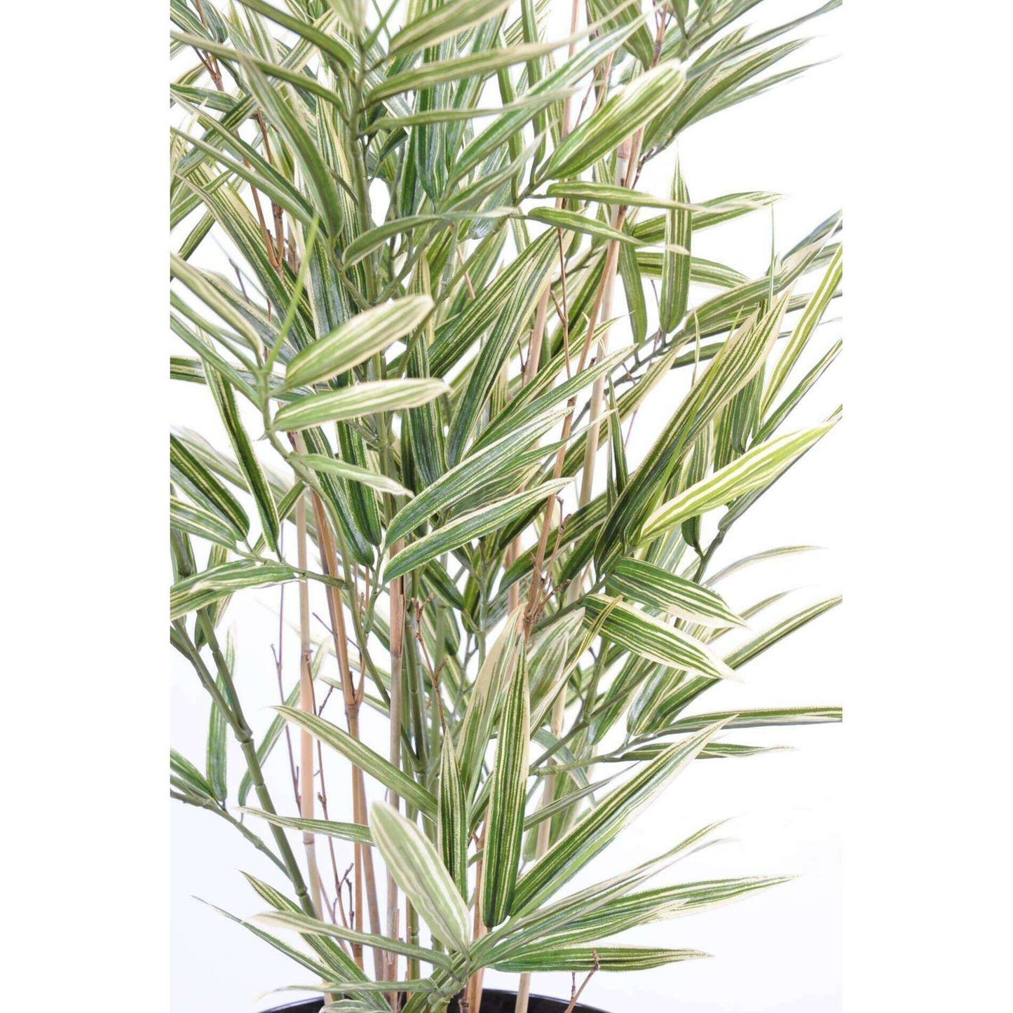 Bambou artificiel Shiroshima -intérieur - feuillage panaché vert/crème H.70cm