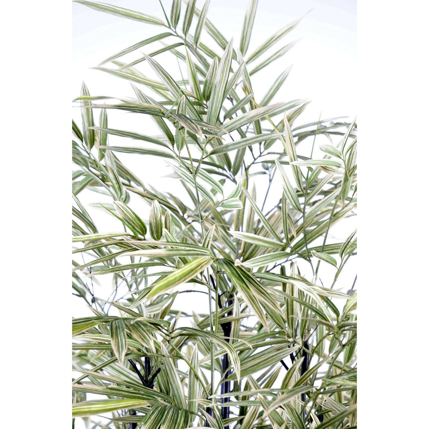 Bambou artificiel Shiroshima feuillage vert blanc cannes noires - intérieur - H.160cm