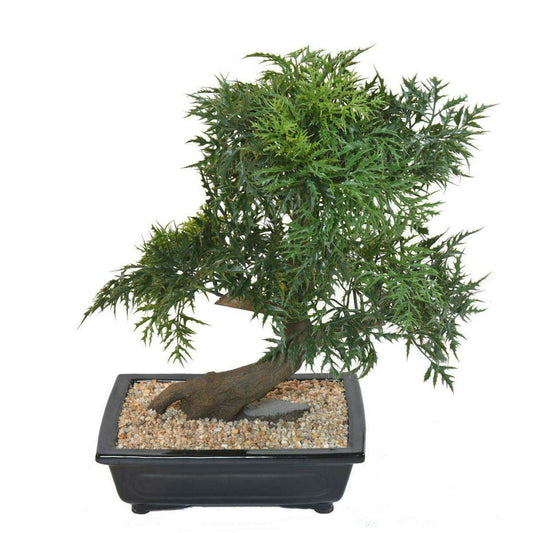 Bonsaï Aralia arbre miniature en coupe - plante synthétique intérieur - H.50cm