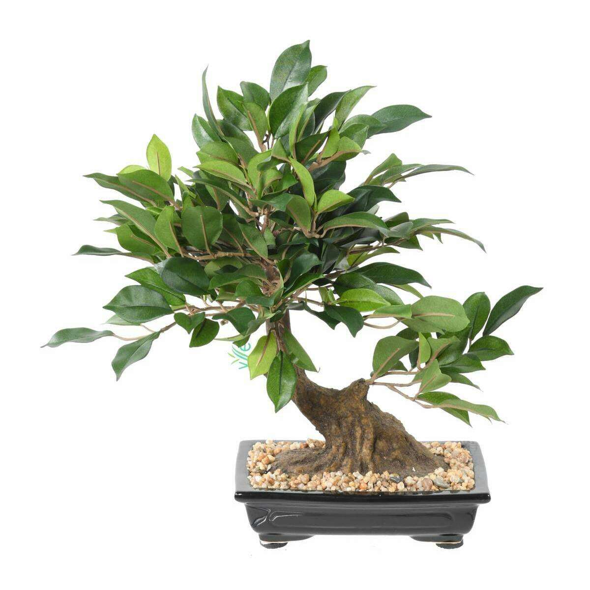 Bonsaï artificiel arbre miniature Ficus en coupe - plante intérieur - H.38cm B
