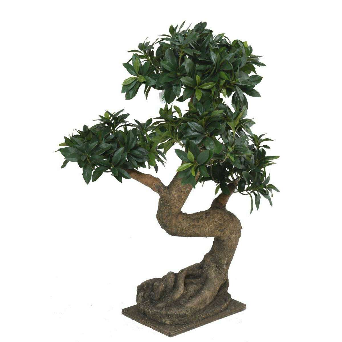 Bonsaï Fusain du Japon artificiel - plante synthétique intérieur - H.75cm