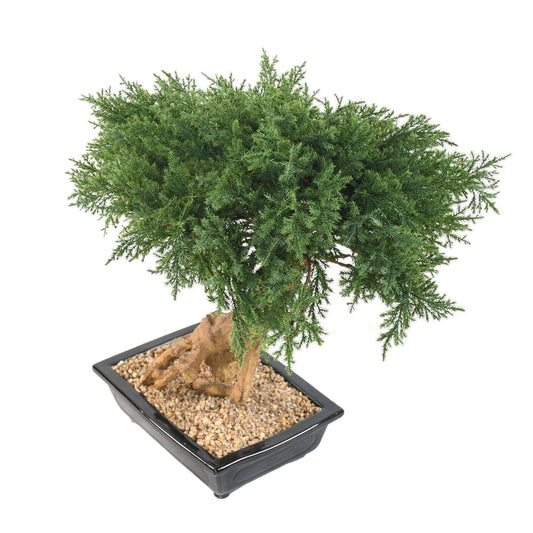 Bonsaï Juniperus artificiel en coupe - plante synthétique intérieur - H.60cm