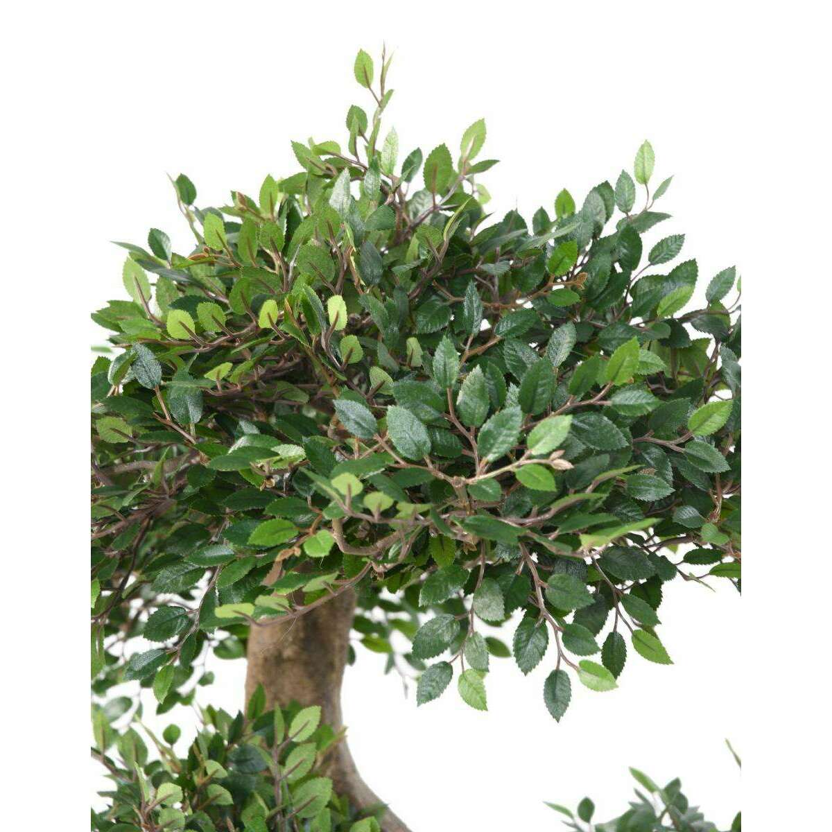 Bonsaï Orme artificiel sur platine - plante synthétique intérieur - H.90cm
