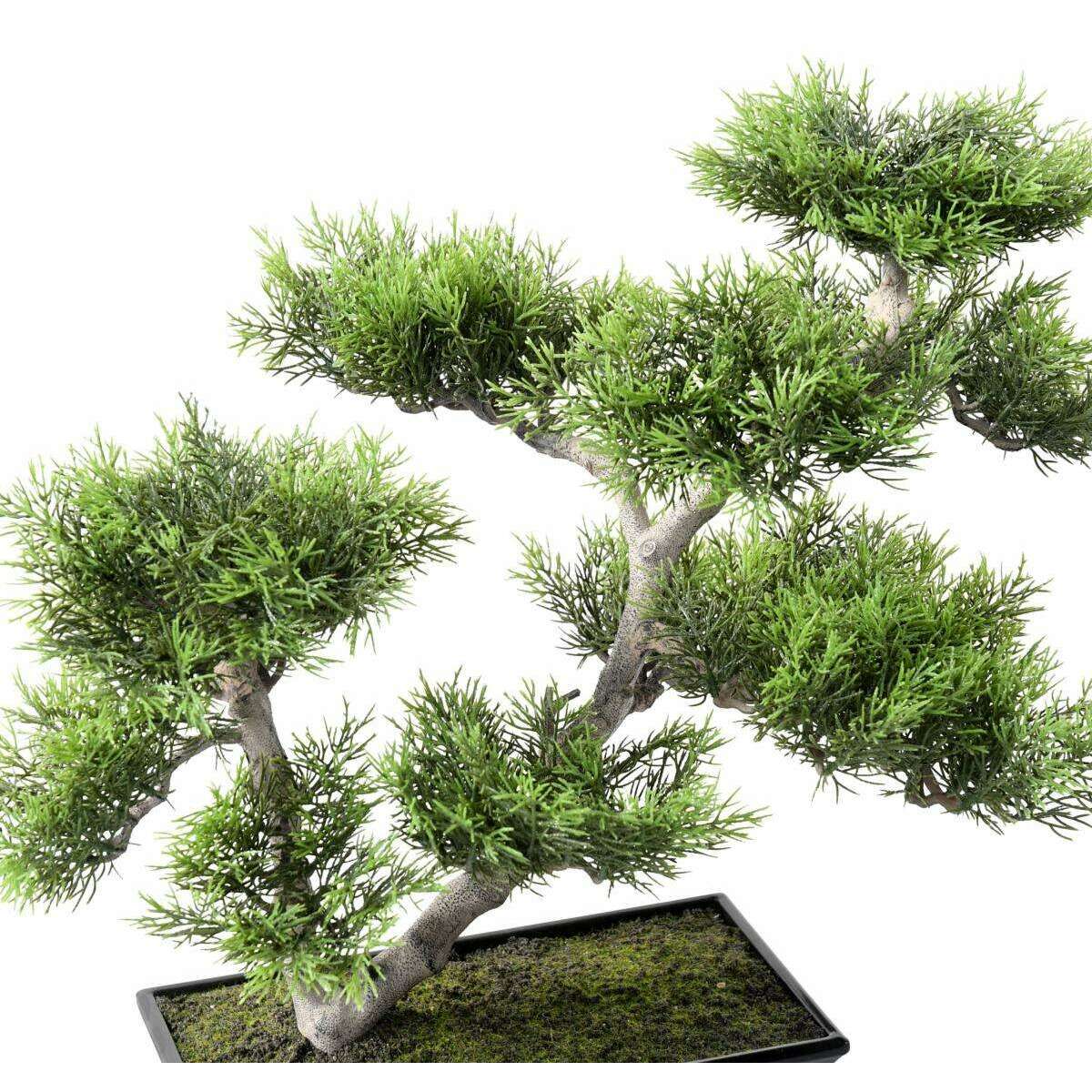 Bonsaï Pin artificiel en coupe - plante synthétique intérieur extérieur - H.42cm