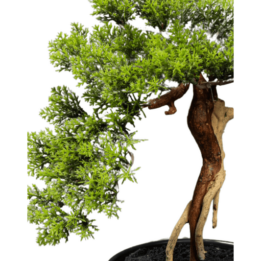 Bonsaï Thuya artificiel en pot - plante synthétique pour intérieur - H.30cm