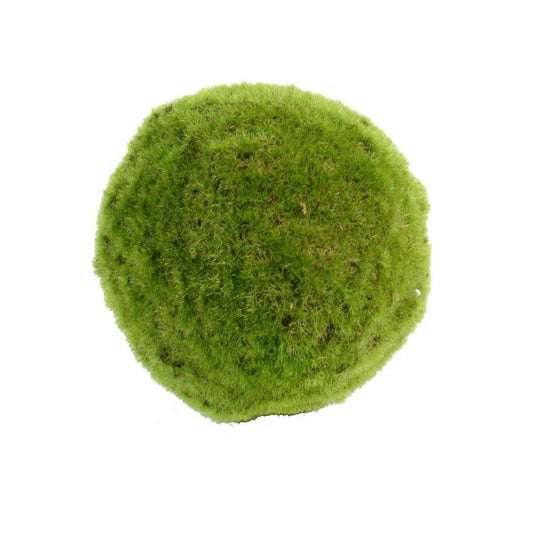 Boule de mousse artificielle - plante d'intérieur - H.18cm vert