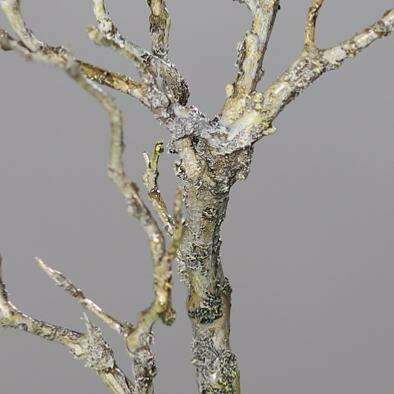 Branche artificielle bois avec mousse et lichen - décoration d'intérieur - H.40cm