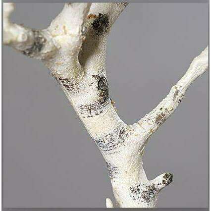 Branche artificielle Bouleau imitation bois - décoration d'intérieur - H.88cm blanc