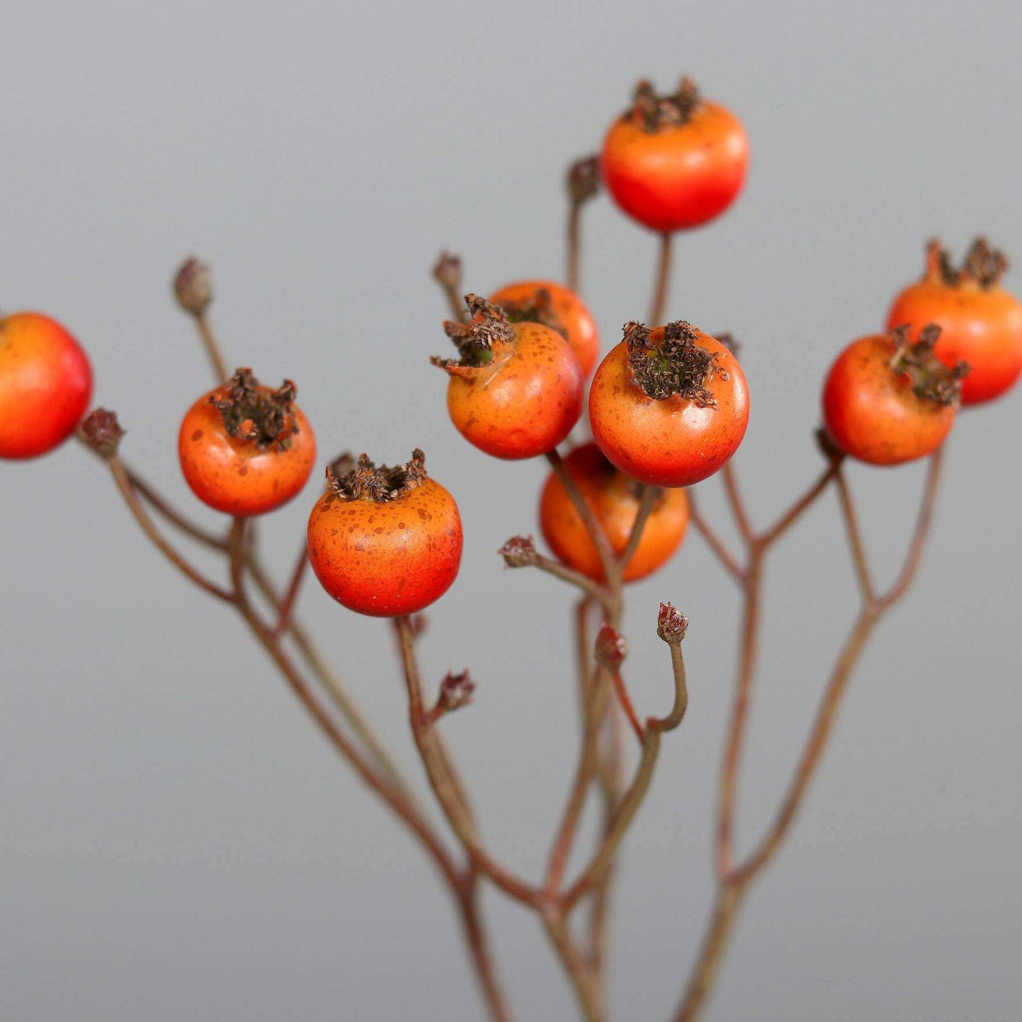 Branche artificielle d'églantier baies oranges - composition florale - H.46cm