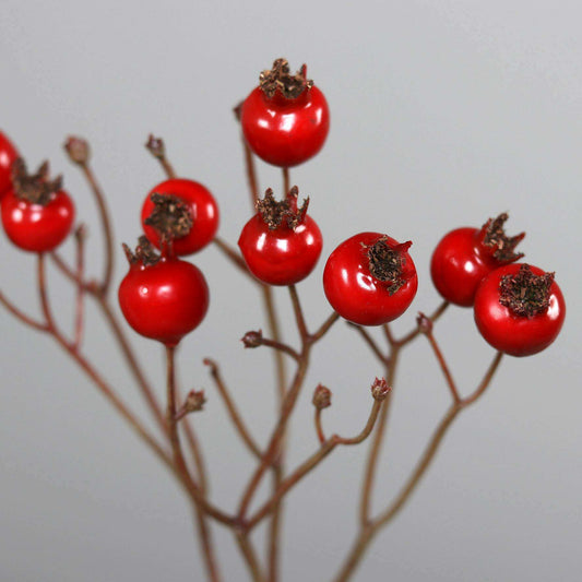 Branche artificielle d'églantier baies rouges - composition florale - H.46cm - Z2