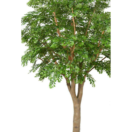 Bucida Arbre artificiel - plante décoration d'intérieur - H.300cm