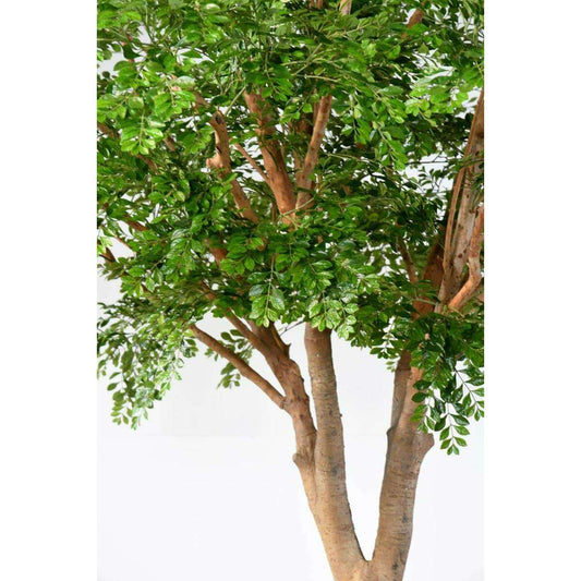 Bucida Arbre artificiel - plante décoration d'intérieur - H.360cm