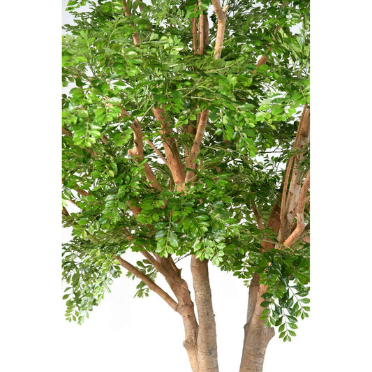 Bucida Arbre artificiel forestier - plante décoration d'intérieur - H.450cm vert