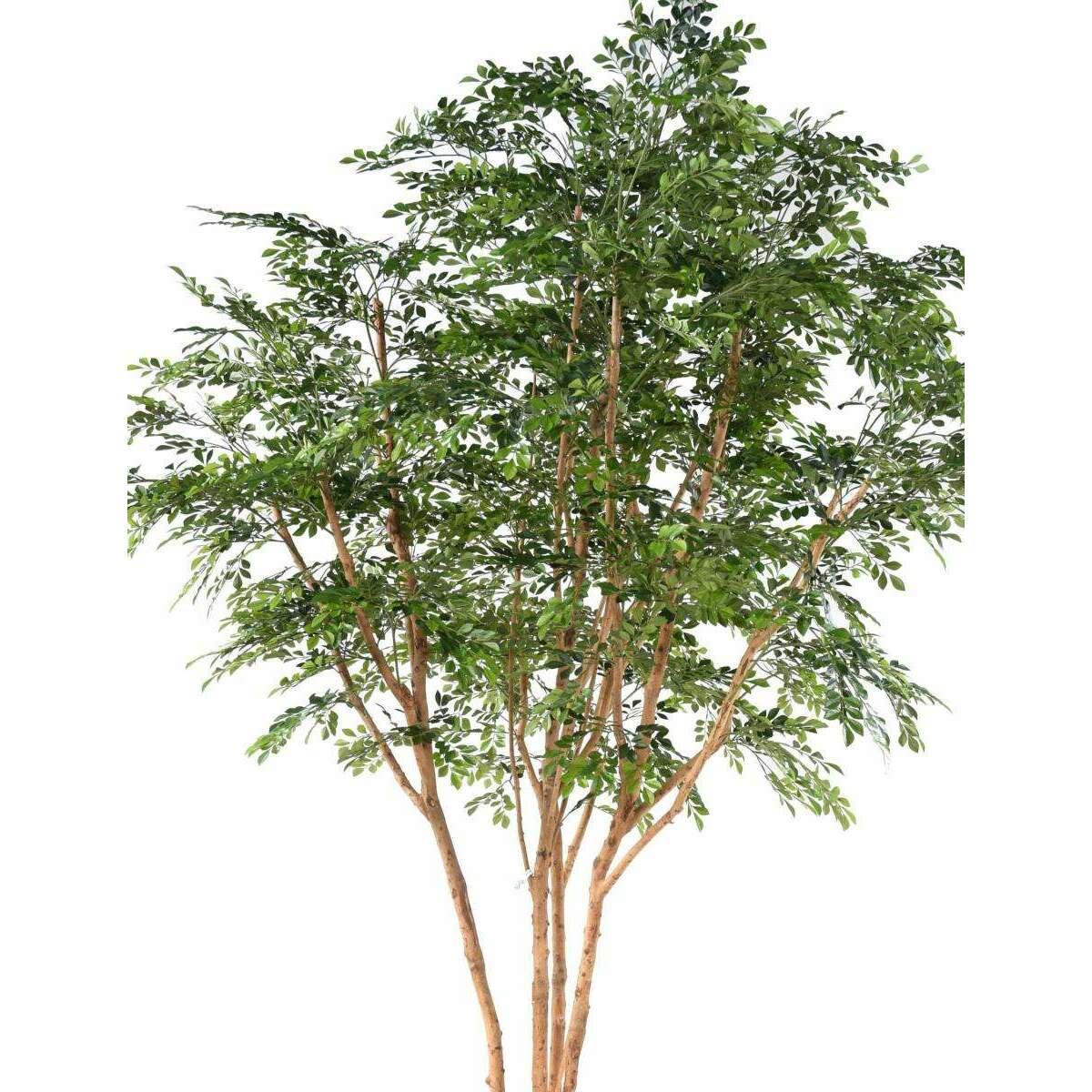 Bucida Tree Luxe Arbre artificiel - décoration d'intérieur - H.330cm