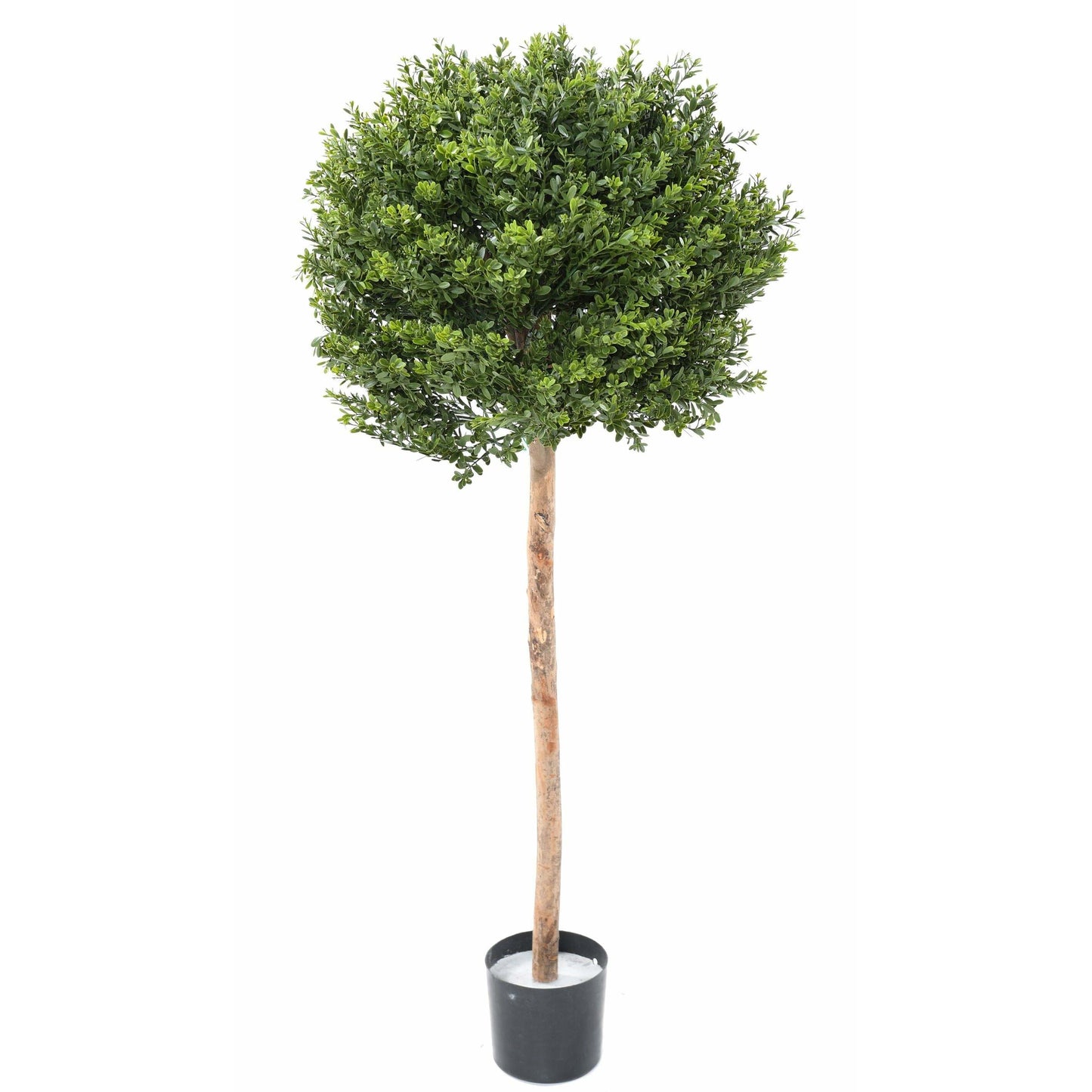 Plante artificielle Buis tige boule - résistant UV extérieur - H.110cm et Ø50cm