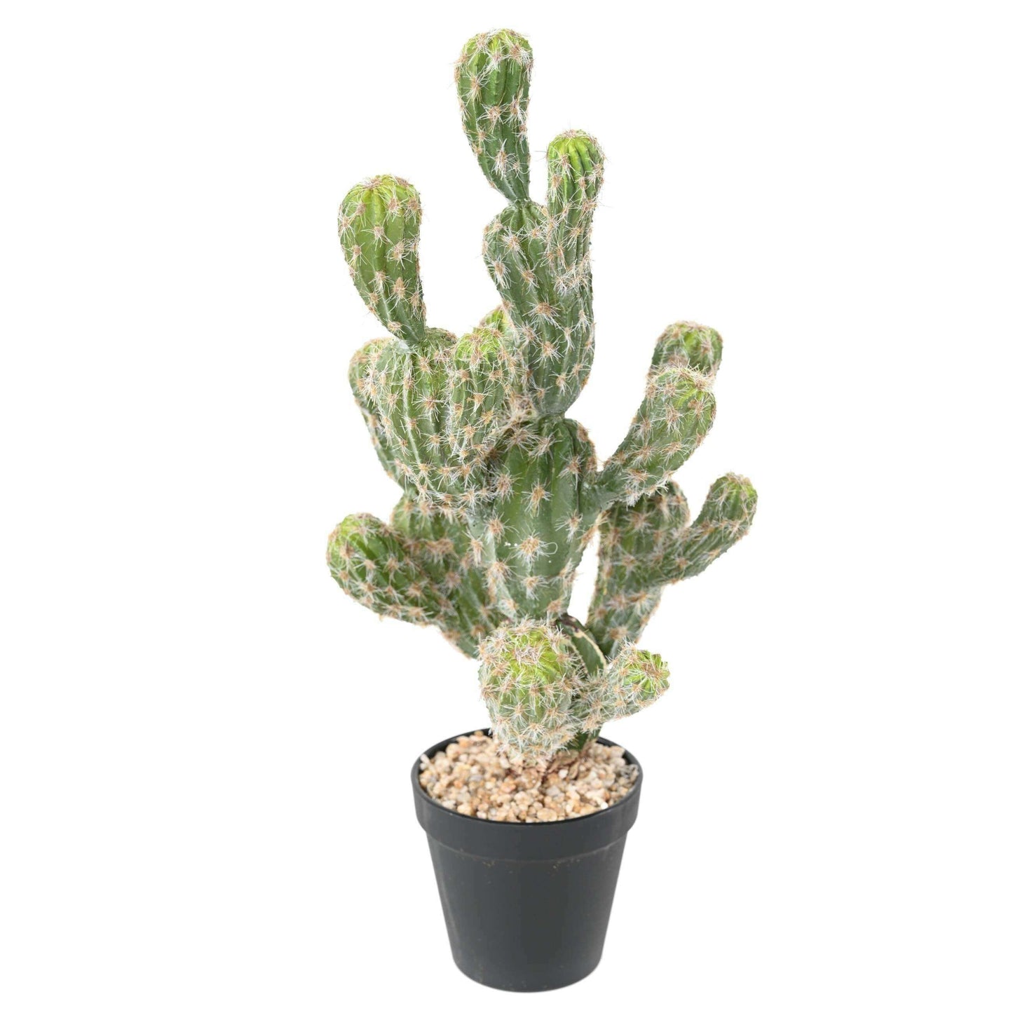 Cactus artificiel Echinocereus - plante synthétique d'intérieur - H.44cm