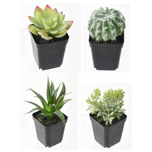 Cactus artificiels assortiment de 4 plantes - plante synthétique d'intérieur - H.20cm