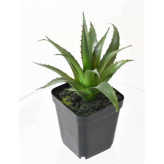 Cactus artificiels assortiment de 4 plantes - plante synthétique d'intérieur - H.20cm