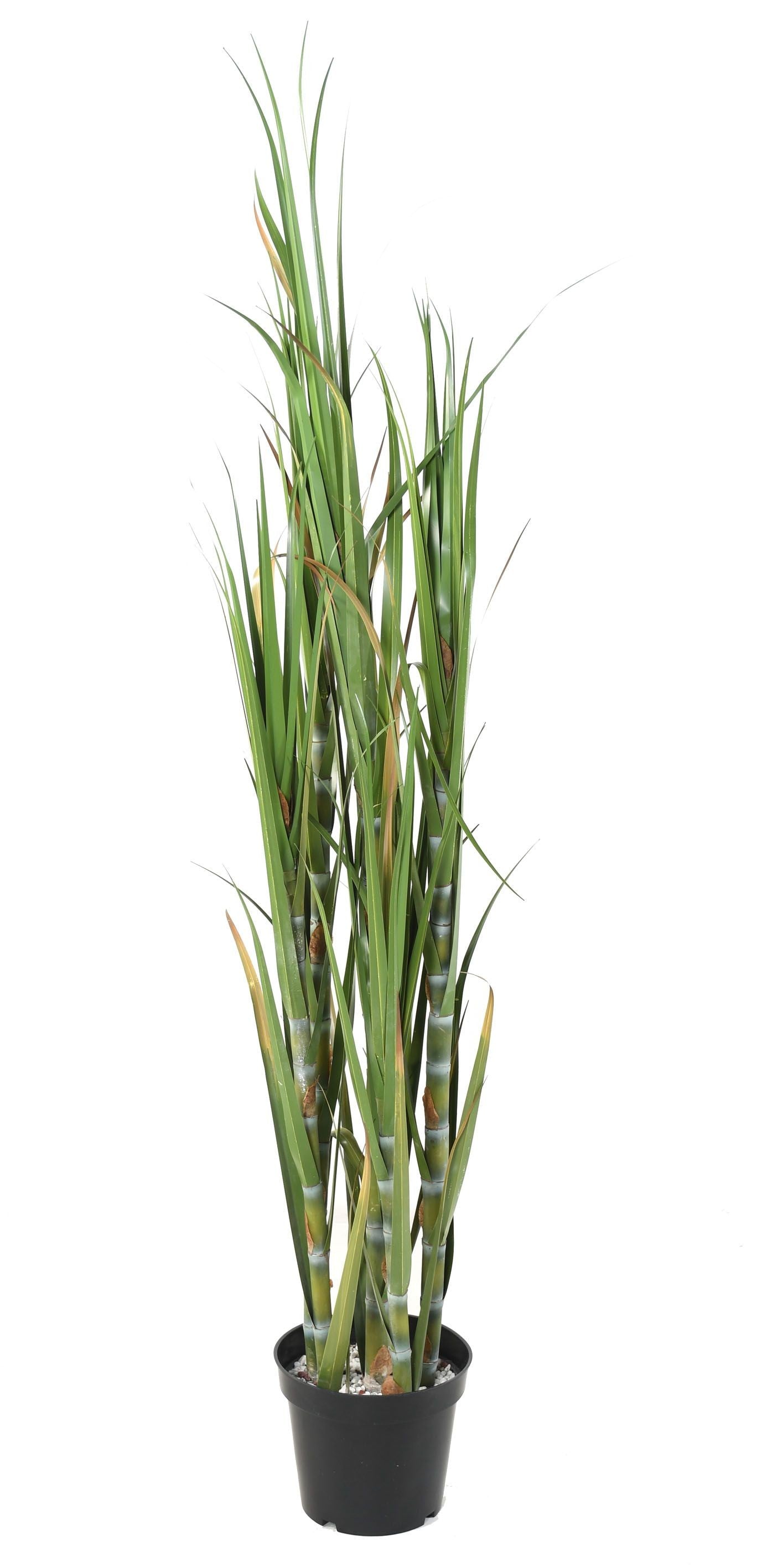 Canne à sucre artificielle H.180 cm – Plante tropicale grand format