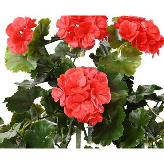 Chute artificielle fleurie Géranium UV 10 têtes - plante d'extérieur - H.65cm rouge