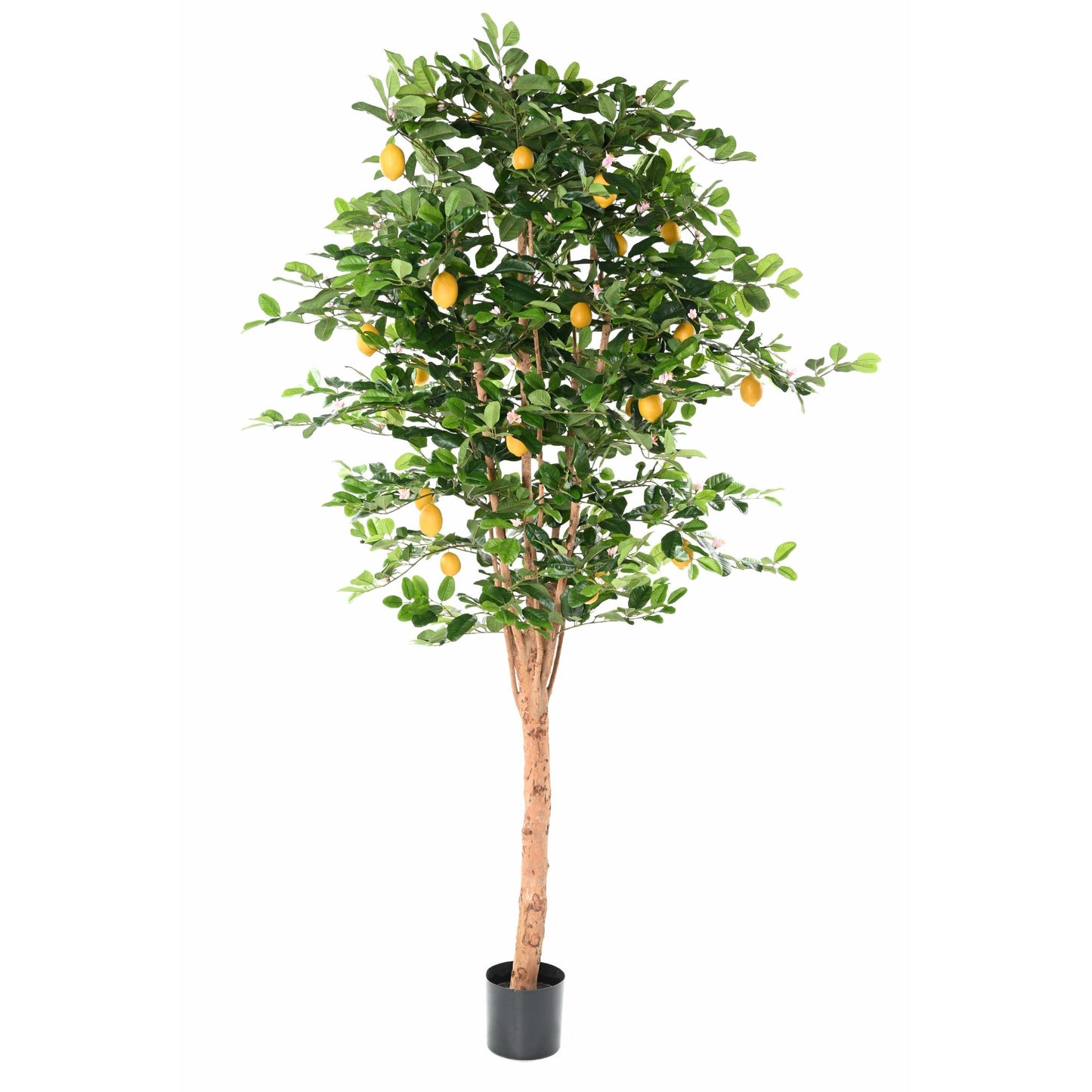 Arbre artificiel Citronnier Sunny - décoration intérieur - H.235 cm – Vert et fruits jaunes