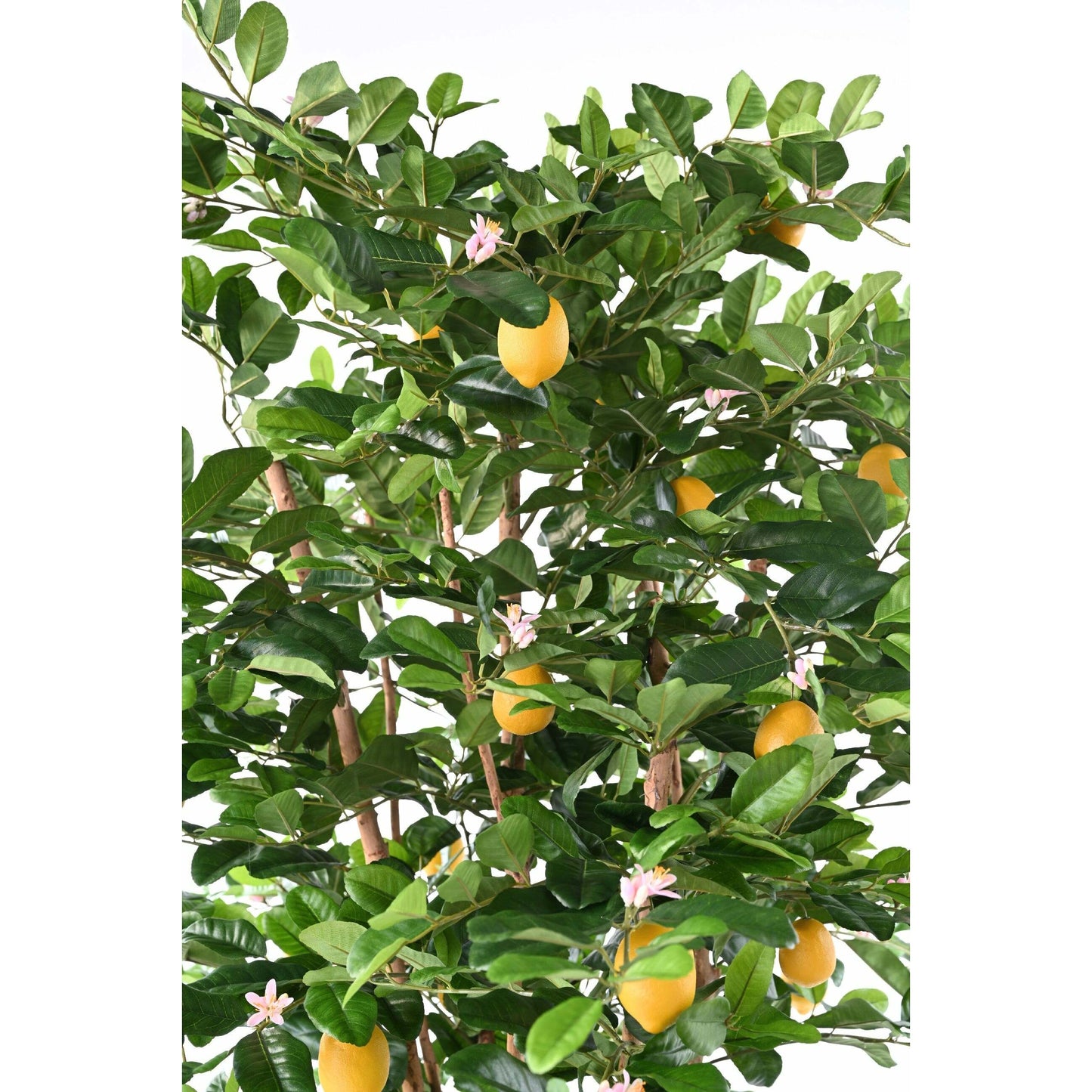 Arbre artificiel Citronnier Sunny - décoration intérieur - H.235 cm – Vert et fruits jaunes