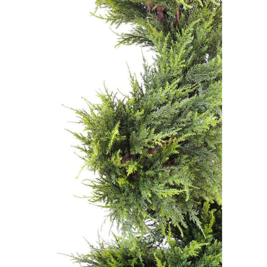 Cypres Juniperus spirale 160cm