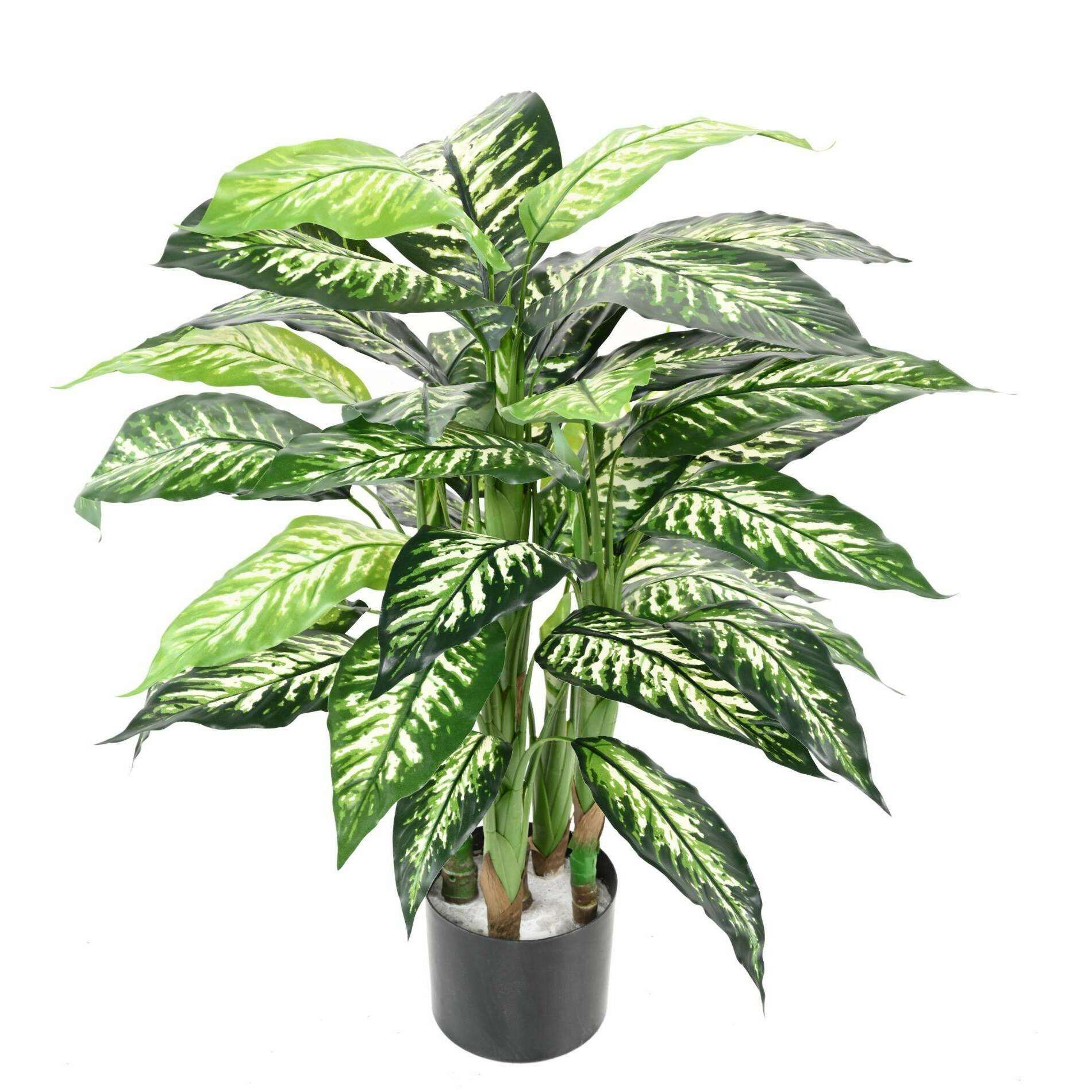 dieffenbachia artificiel Dieffenbachia artificiel 100% recyclable - plante d'intérieur