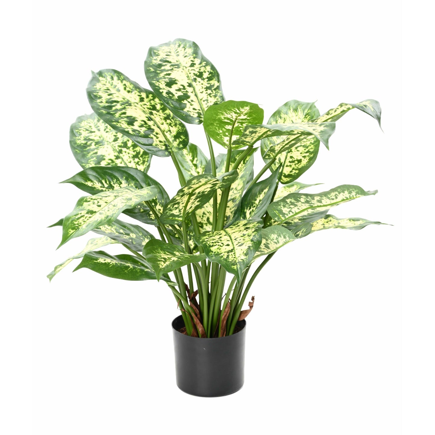 Dieffenbachia artificiel - 26 feuilles - plante d'intérieur - H.51 cm