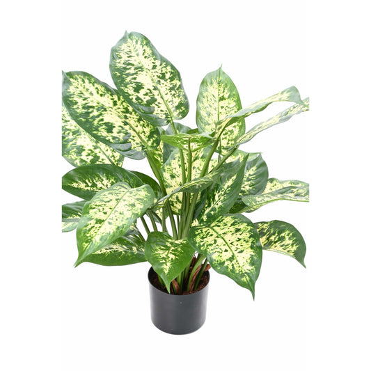 Dieffenbachia artificiel - 26 feuilles - plante d'intérieur - H.51 cm