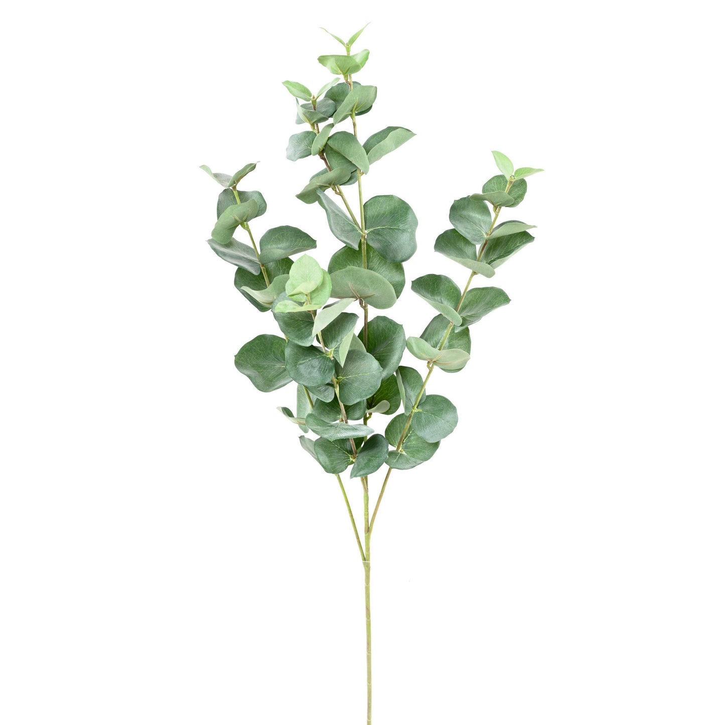 Eucalyptus artificiel gunnii spray - création de bouquet - H.70cm vert - F1