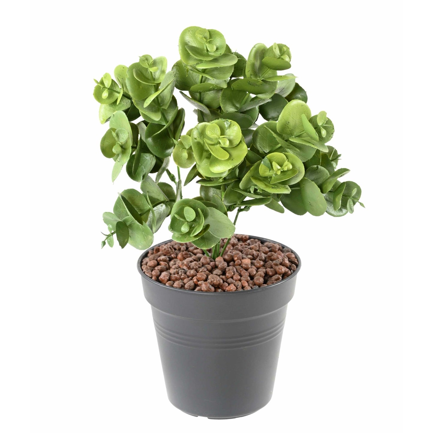 Plante artificielle Eucalyptus en piquet - décoration d'intérieur - H. 30 cm- Vert - E1