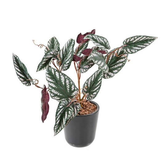 Feuillage artificiel Bégonia Muculata en piquet - plante d'intérieur - H.50cm - B2