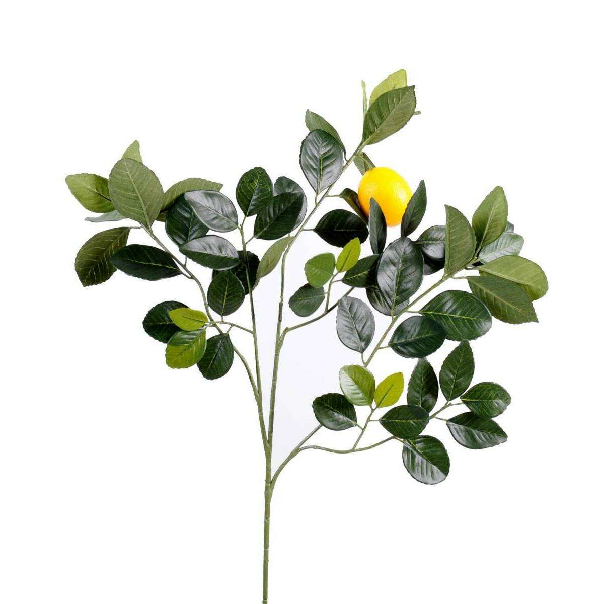 Feuillage artificiel branche Citronnier et fruit - décoration pour intérieur - H.60cm E2