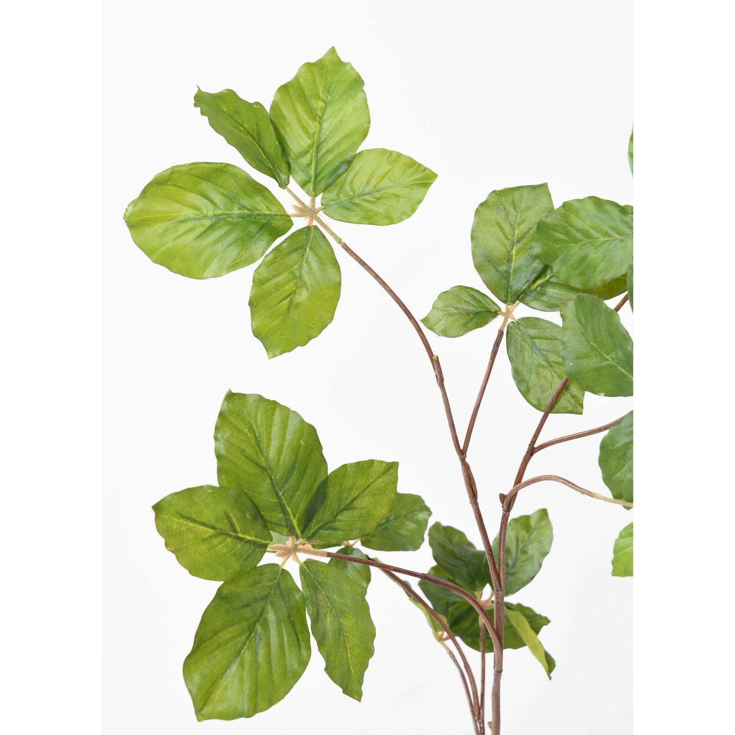 Feuillage artificiel branche de Charme - composition florale - H.102cm vert