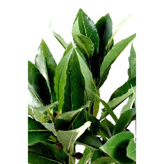 Feuillage artificiel branche de Laurier - décoration d'intérieur - H.50cm vert