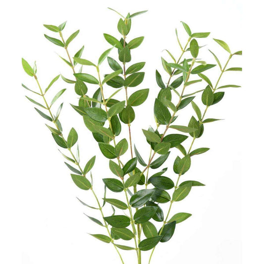 Feuillage artificiel Branche Eucalyptus - composition florale - H.60cm vert - F2