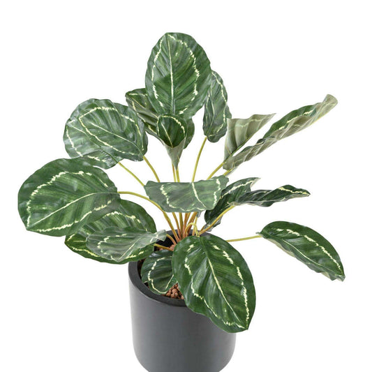 Feuillage artificiel Calathea 19 feuilles - plante verte d'intérieur - H.55cm