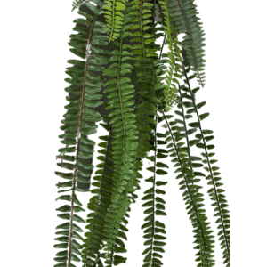 Feuillage artificiel chute de Fougère Nephrolepis - décoration d'intérieur - H.112cm