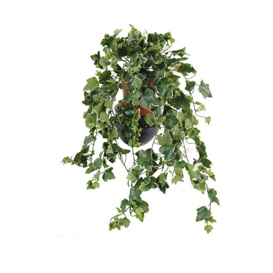 Feuillage artificiel chute de Lierre Gala en piquet - 323 feuilles - H.75cm vert blanc