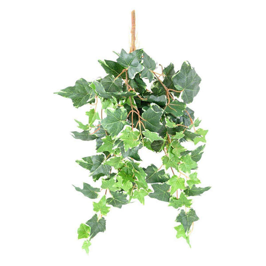 Feuillage artificiel chute de Lierre Hollandais - 118 feuilles artificielles - H.60cm vert blanc