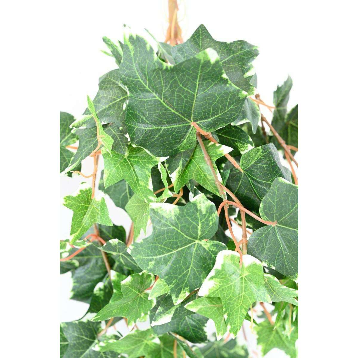 Feuillage artificiel chute de Lierre Hollandais - 118 feuilles artificielles - H.60cm vert blanc