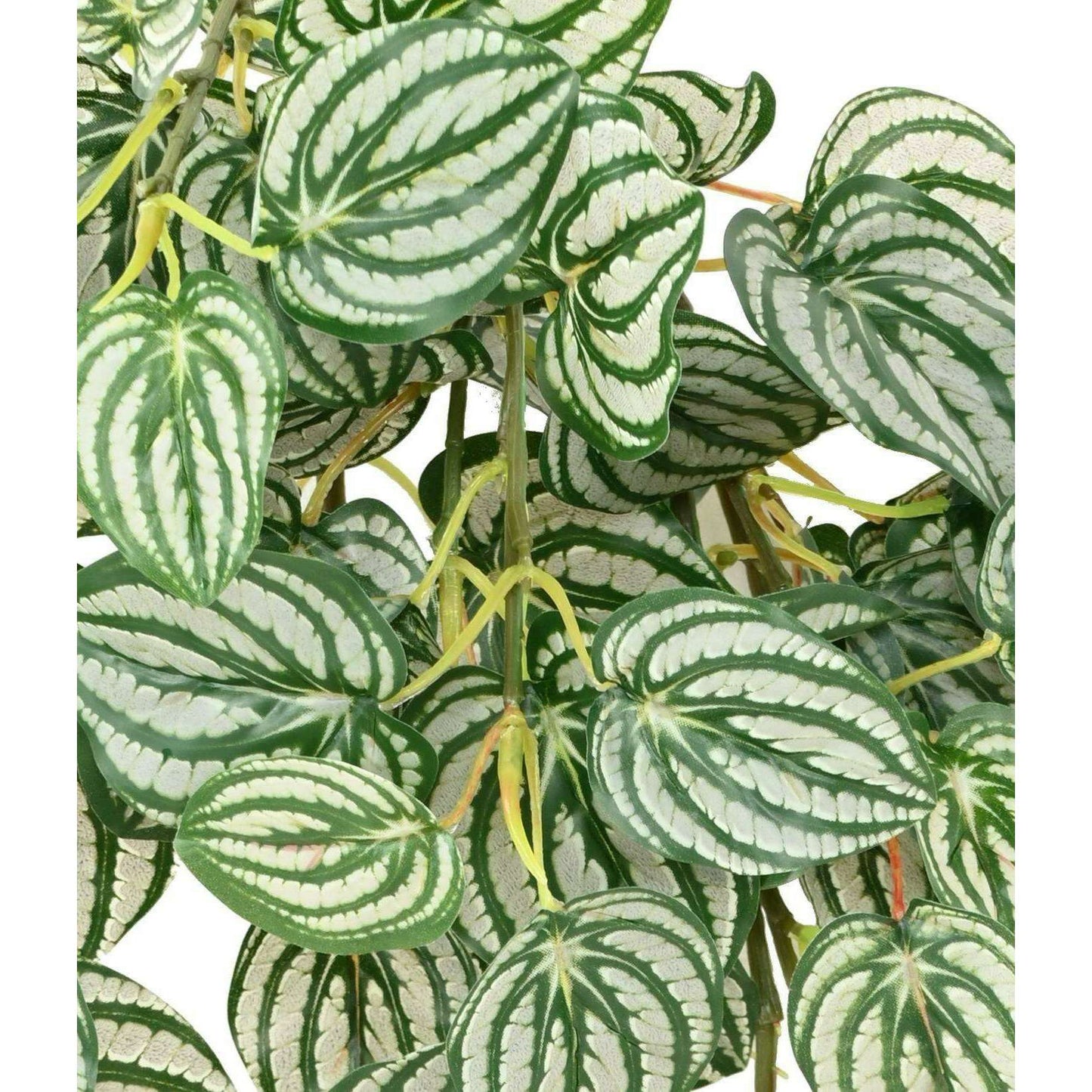 Feuillage artificiel chute de Peperomia - plante retombante - H.70cm panaché