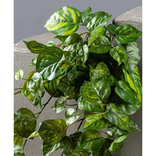 Feuillage artificiel chute de Pothos en piquet - plante d'intérieur - H.60cm panaché