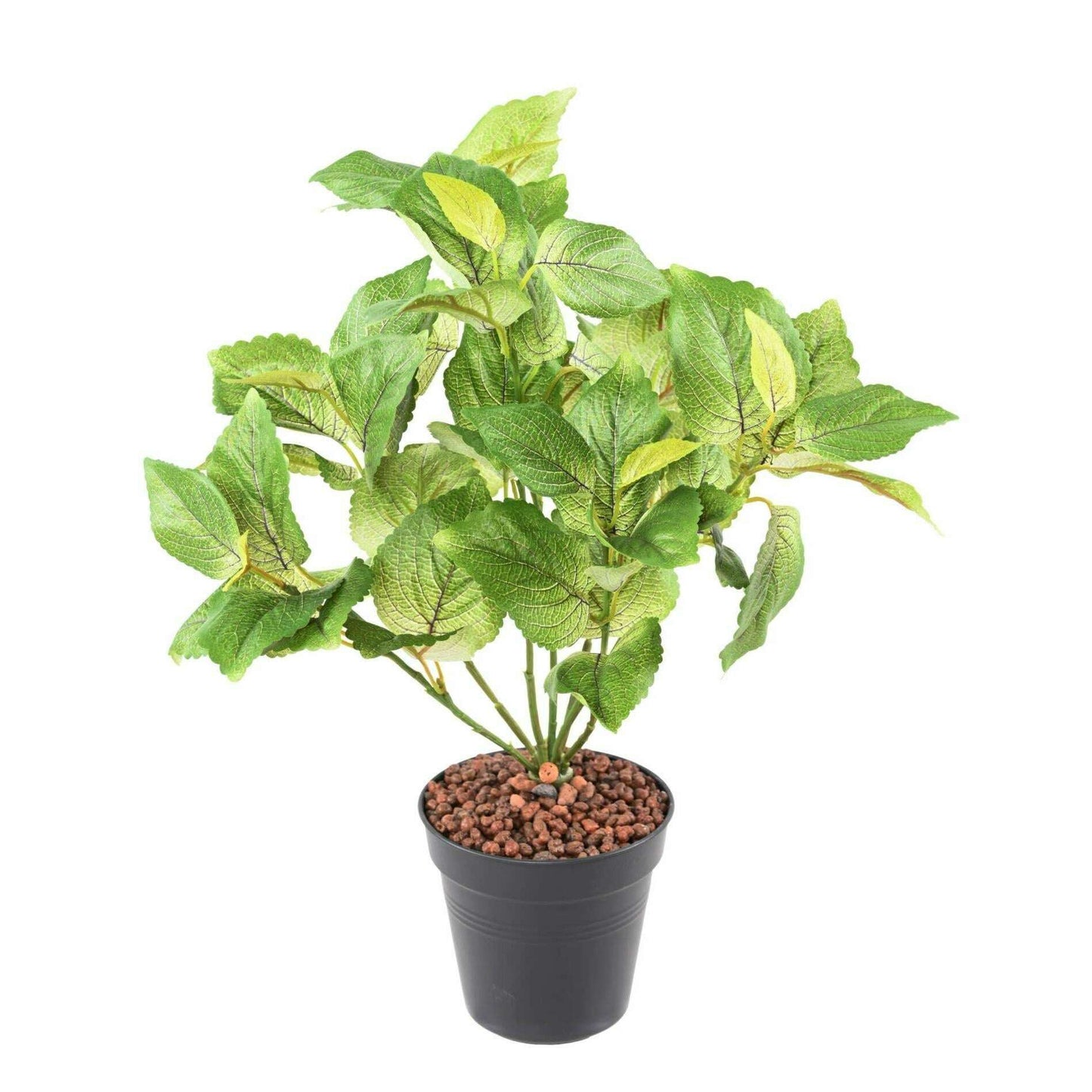 Feuillage artificiel Coleus en piquet - plante verte intérieur - H.40cm vert D2