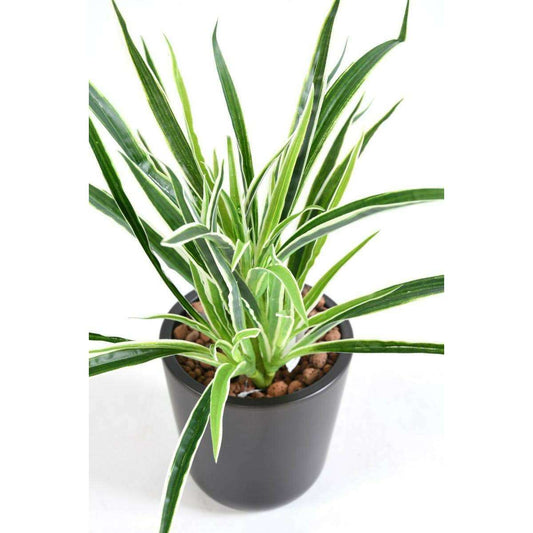 Feuillage artificiel Dracaena 4 touffes - plante en piquet - H.40cm panaché