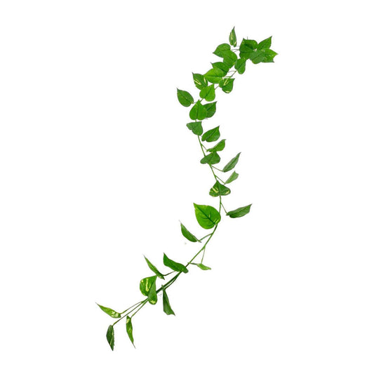 Feuillage artificiel Guirlande de Pothos - Tergal UV extérieur - H.190cm vert
