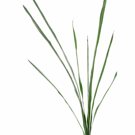 Feuille artificielle de Cymbidium - Feuillage intérieur - H.110 cm - vert