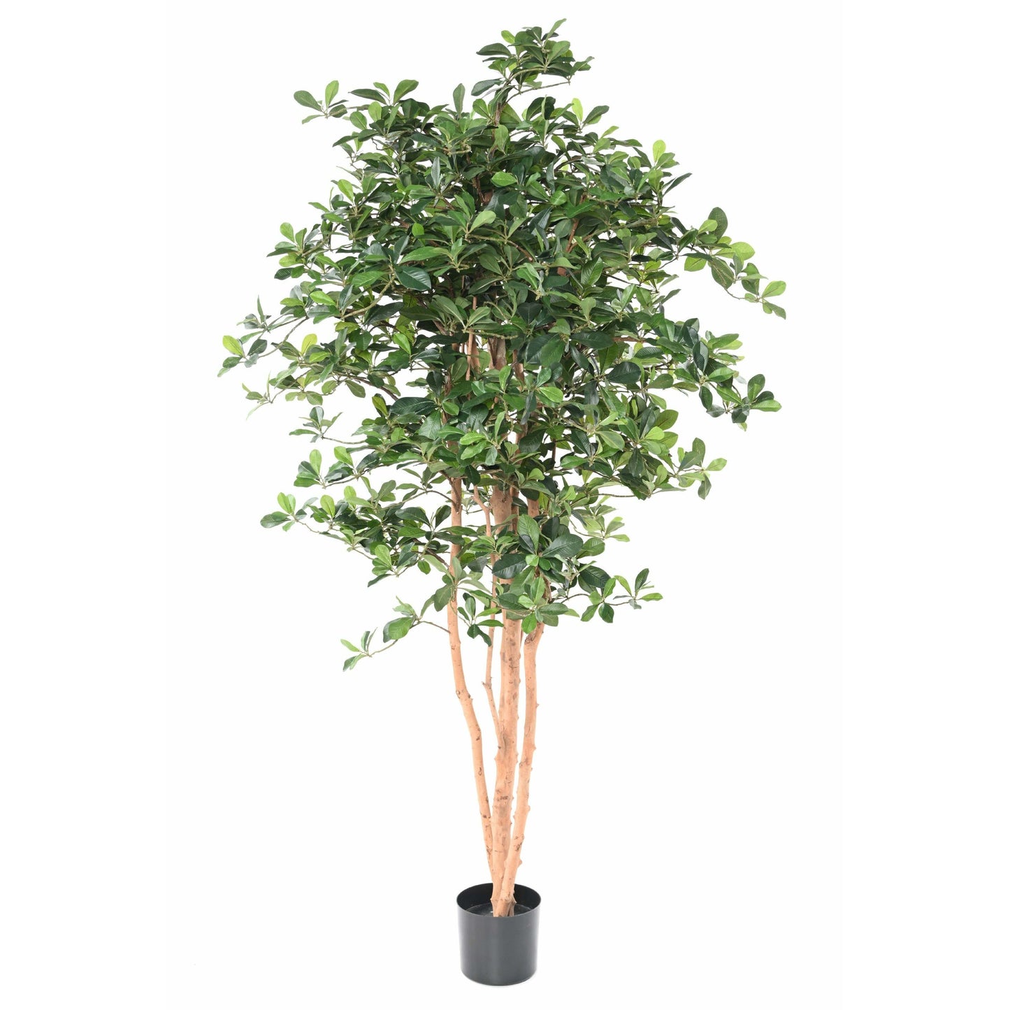 Arbre artificiel Ficus Black Olive - plante artificielle d'intérieur - H.178cm